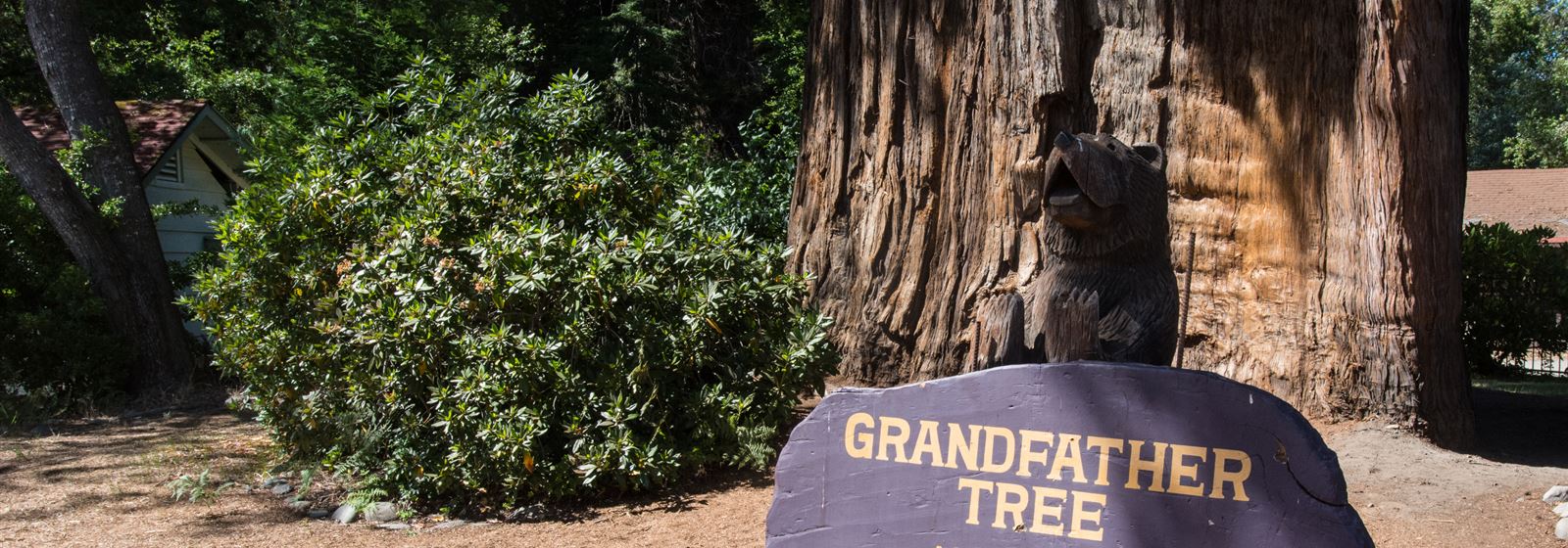 101 Things to Do in California — top attractions, tours and things to do